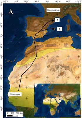 High rates of antibodies against Toscana and Sicilian phleboviruses in common quail Coturnix coturnix birds